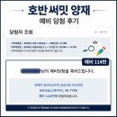 [양재역] 호반써밋 양재 예비 당첨 후기 : 예비 당첨 가능성은?