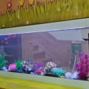 오성초등학교병설유치원 이미지