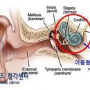 이음메디칼 네이버블로그