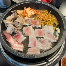돼지zone