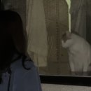 GS25 대구동촌파크점 이미지