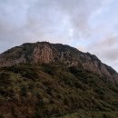 제주 산방산 암벽식물지대 | 천연기념물 제376호 제주 산방산 암벽식물지대