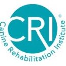 본 동물메디컬센터 외과동물병원 이미지