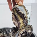 바다향 참전복 | 설선물 추천 바다향 가득 복다미 전복 버터구이 만들기