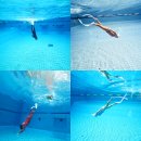 완산-110 | 전주 프리다이빙 데몬프리다이빙 맞춤 강습 초보 원데이클래스 후기