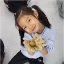 경희대 수 태권도장 이미지