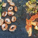 은하수식당 Daum카페