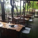 양수리 오리학교 이미지