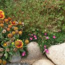 부동산중개사람 이미지