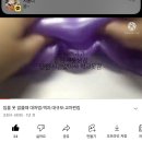 여름어떤날회고록