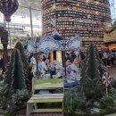 햇살이가득한도서관(심곡동) | [공지] [코엑스 별마당도서관 크리스마스 2025] 낮...후기💫 서울 데이트·연말 감성 가득한 종이 팝업북...