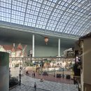 혜성유치원 | 롯데월드 연간이용권 3월 평일 후기 5번 갔어요!