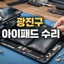 평거강변1 - A (좌측) | 광진구 아이패드 수리 │ 아이패드에어4 액정파손·배터리 부풀음 동시 수리 후기