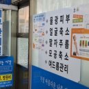 거꾸로가는시간양주
