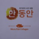 더케이비바이오 | 저분자 콜라겐 '한동안'으로 관리한 후기
