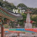 별나무 | 논산의 봄에는 은진미륵