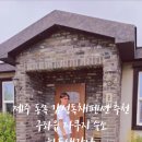 하도 생각나 이미지