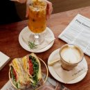 사파동220 이미지