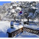 사철회관 Daum카페