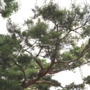 서현공인중개사사무소 이미지