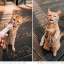 나만의 포트레이트 이미지