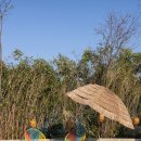 스테이 매료 이미지