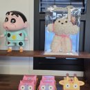 허니홈비(강릉본점) 이미지