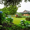 다복민박 이미지