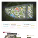 에코라엘 이미지