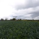 무릉2리(평지동) 이미지