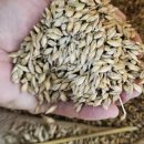 토바맑은식품 이미지