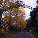 홀리크로스 이미지