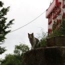 피크문모텔 이미지