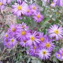 직업상담사 필기 - 노동시장론 이미지