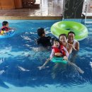 391 스테이 이미지