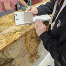 남측브릿지(좌) 화장실 | 나무정원 1인실 주차 유도분만 실패 제왕엔딩 제왕통증 빨리 회복하는법