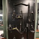 비코2호 | 포항 24시 헬스장 비코짐 오광장점 / 포항 PT 맛집