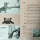 펫 파라다이스(pet paradise) 이미지