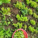 유니콘농장 이미지