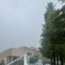 새샘마을315동앞 | [세종시 가볼만한곳] 솔직히 세상 노잼? 비 오는 날 세종 금강보행교·조세박물관·호수공원 투어 (feat...
