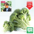 모단농장 이미지