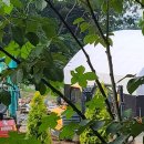 든돌민박 이미지