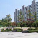 영통로 26번길 이미지