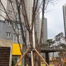 하우스터디 안성공도센터 독서실 | 이트리니티공도센트럴파크 안성시 사용검사 승인 전 최종 품질검수 참여