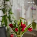 호선실버센터 이미지