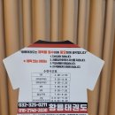 황룡태권도 이미지