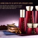 현대홍삼생약 네이버블로그