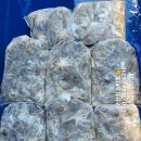 쭈꾸미스타 이미지