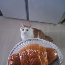 춘성할인마트 이미지