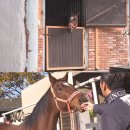 희대농장 이미지